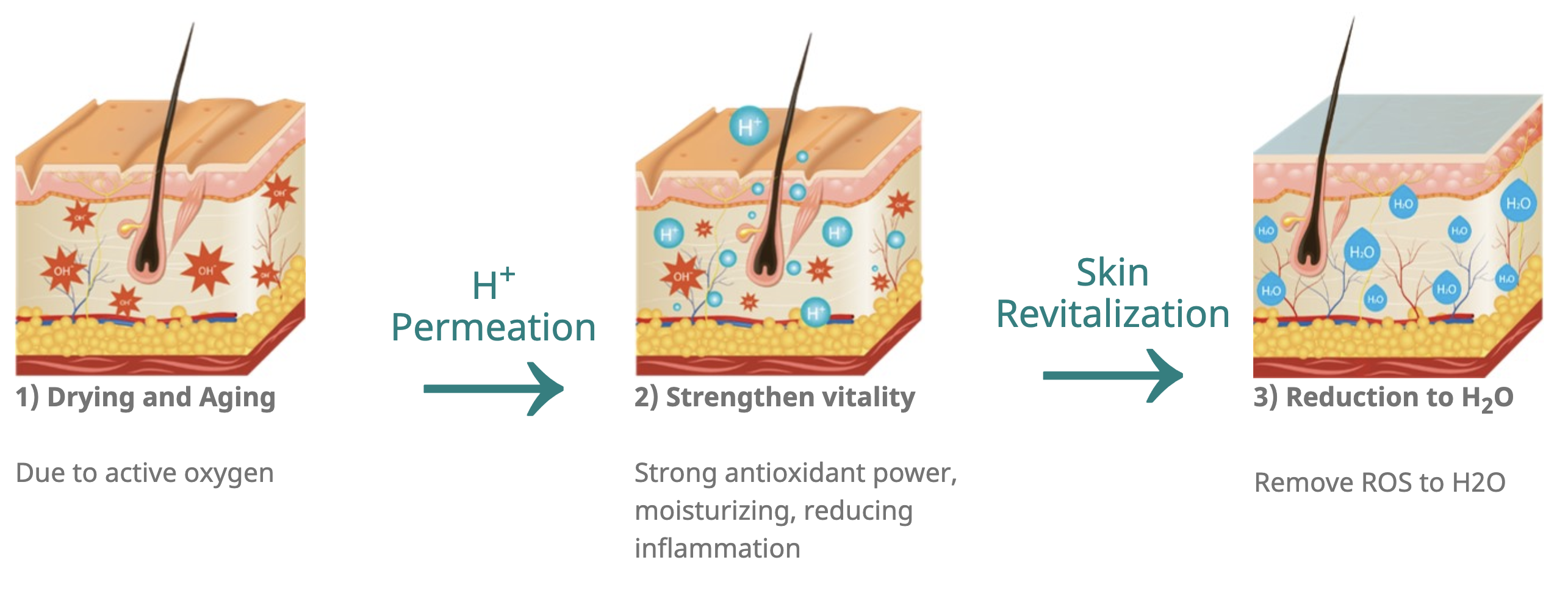 HydraTouchFacial dermabrasion