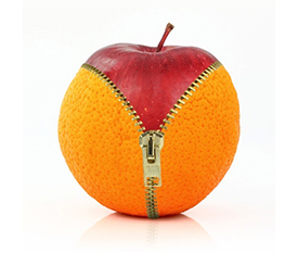 body renewal loosing weight