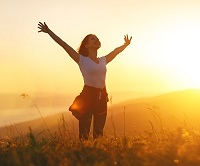 four pillars of health